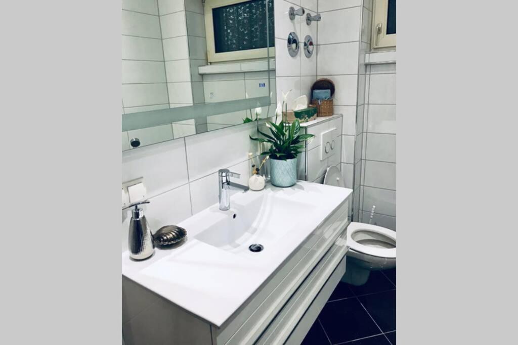 Home In The Heart Of Mannheim, Free Parking, Netflix, Fast Wifi Εξωτερικό φωτογραφία